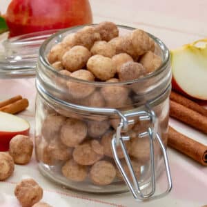 Apple Cinnamon Soy Snacks